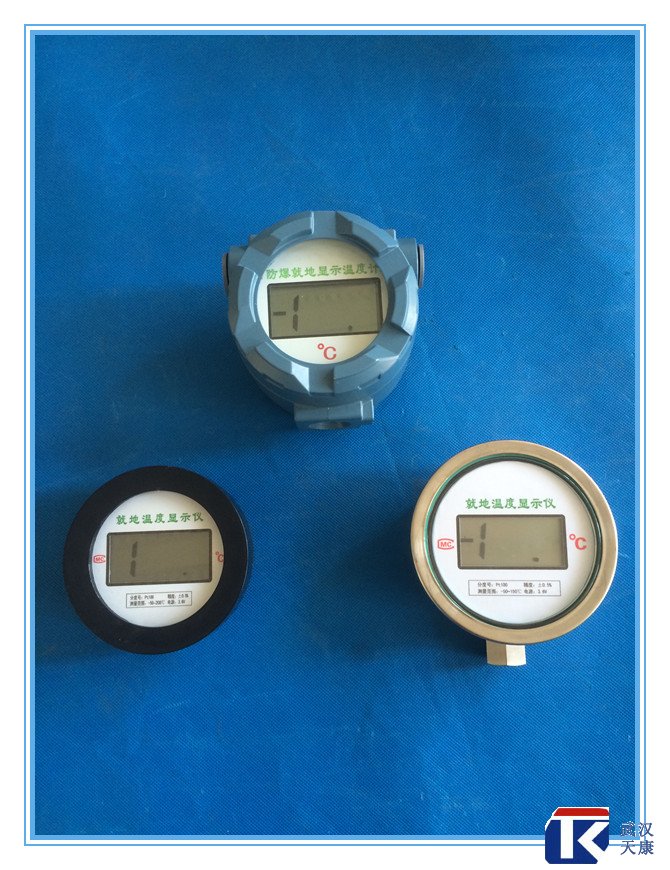 無(wú)源數(shù)顯溫度傳感器、無(wú)需外接電源、鋰電池供電